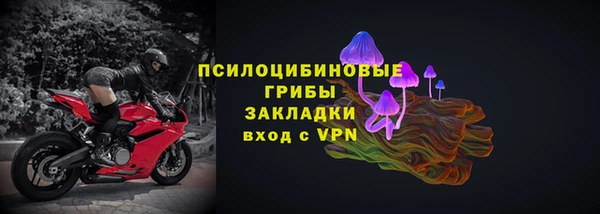 индика Володарск