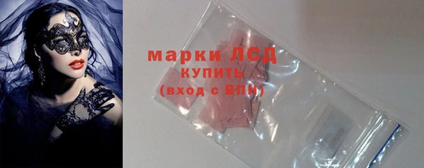 индика Володарск
