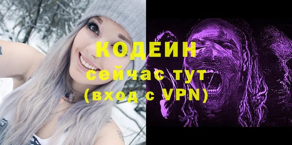 индика Володарск