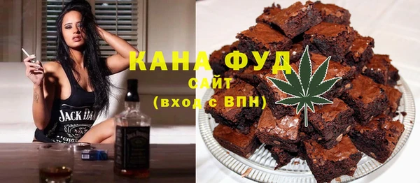индика Володарск