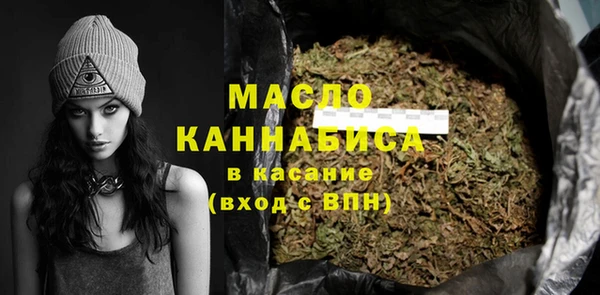 индика Володарск