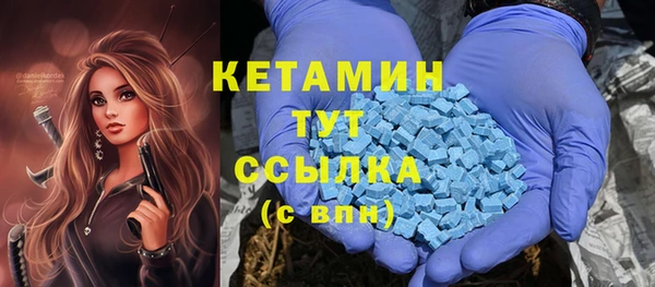 индика Володарск