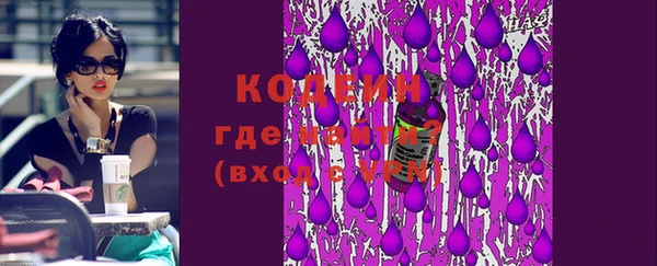 индика Володарск