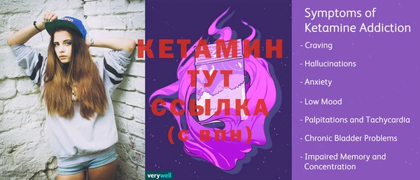 индика Володарск