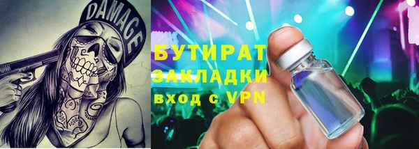 индика Володарск