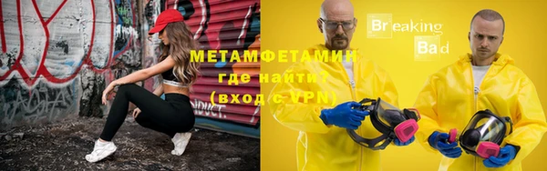 индика Володарск